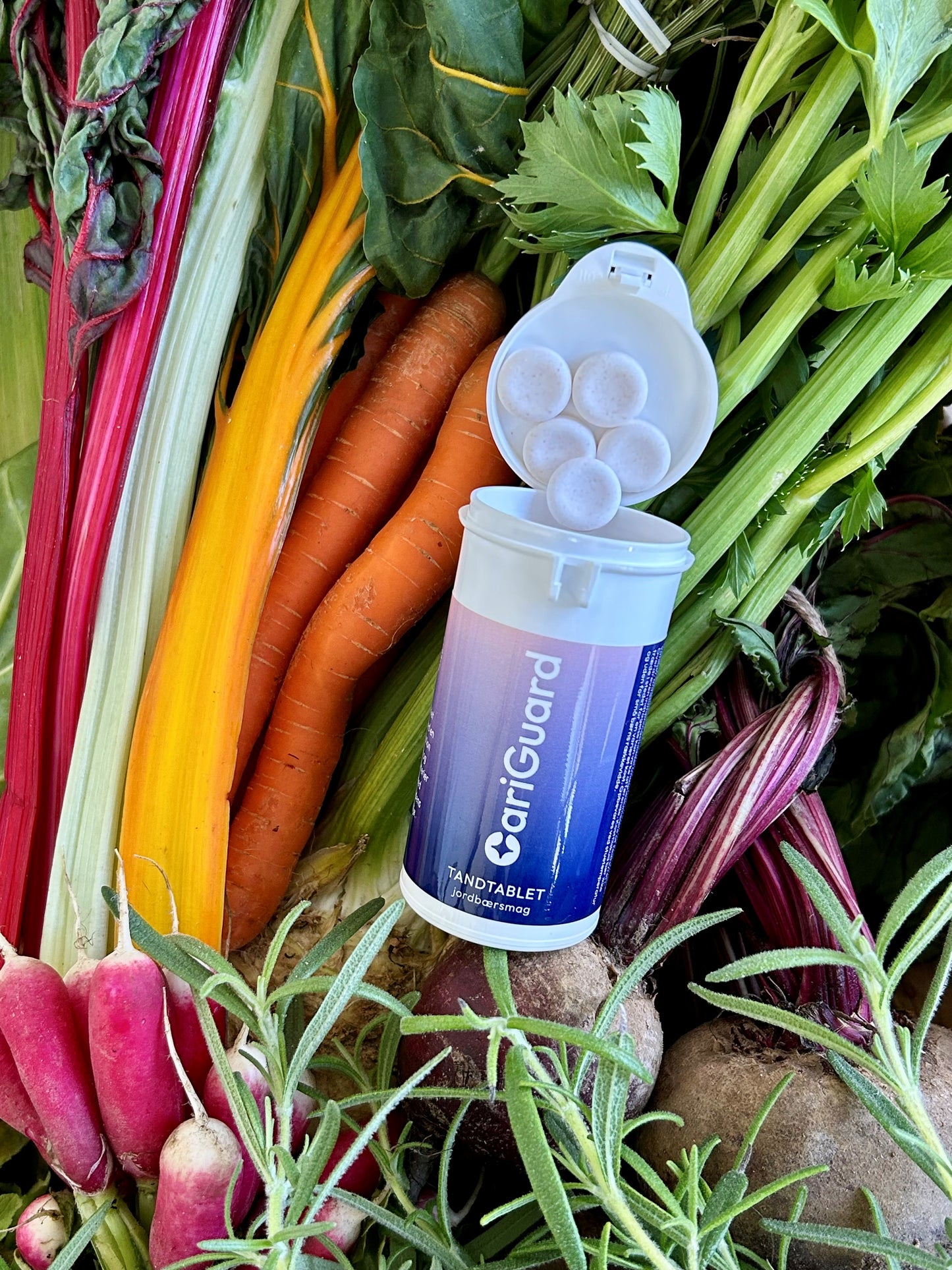 CariGuard tandtabletten